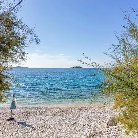 Family Friendly Seaside - 2010 Apartment Rogoznica (Sibenik-Knin)