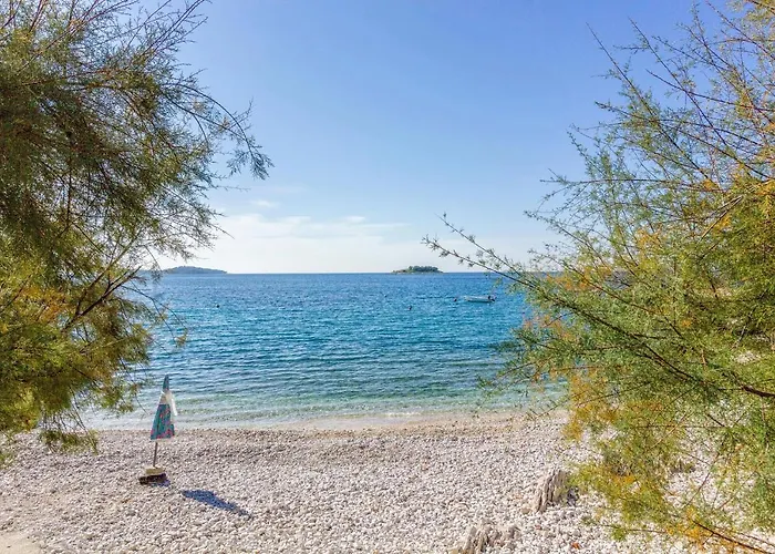 Family Friendly Seaside - 2010 Apartment Rogoznica (Sibenik-Knin)